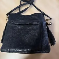 S128.2 オーストリッチ　バック