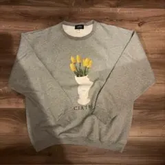 Item thumbnail for item 9443da28-2460-4cfd-9656-9c20427c3305