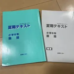 Item thumbnail for item 3936c347-7641-45b0-bdfd-93a372c51941