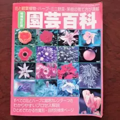 Item thumbnail for item 75b37628-db66-46eb-b31e-72f3ef83855d