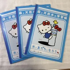 【新品未使用】自由帳 ハローキティ SUNTORY ノート お絵描き帳3冊セット