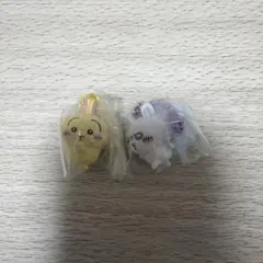 Item thumbnail for item 0809720e-71a9-41c2-b214-fd54f7b003ee