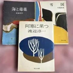 日本文学名作3冊セット
