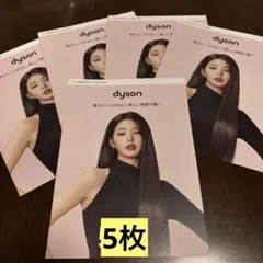 5枚　IVE ウォニョン ダイソン ヘアカタログ パンフレットのサムネイル