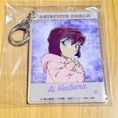 名探偵コナン インスタントフォト風キーホルダー 灰原哀 snow ver.