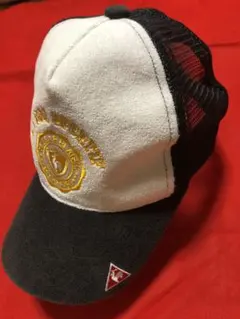 Item thumbnail for item 4c9d6c8f-6c19-47e6-86aa-84ddf6451558