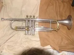 Item thumbnail for item 89df245f-d0b4-4924-8600-433014742c53