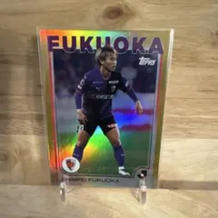 Item thumbnail for item d40f892e-03c7-463e-9be6-34731877c6d5