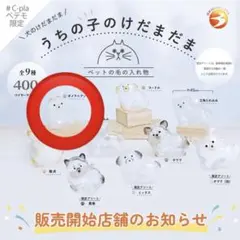 うちの子のけだまだま