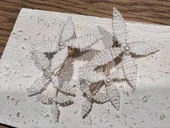 イヤリング ホワイトビーズパールフラワー⭕️値下げ⭕️