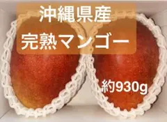 沖縄県産 完熟マンゴー 3L2玉 約930gのサムネイル