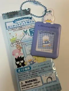 サンリオ ミニチュアチェキ用キーホルダー