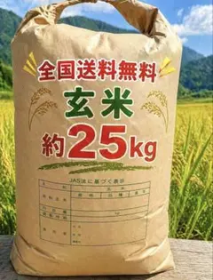 2026年最新】茨城 コシヒカリ 30kgの人気アイテム - メルカリ