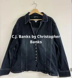C.J. Banks 2X サイズ　ストレッチ　デニム　ジャケット　ヴィンテージ