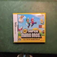 New スーパーマリオブラザーズ DS ソフト
