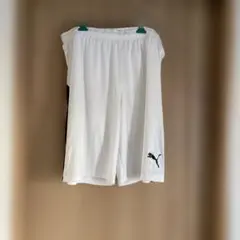 Item thumbnail for item 9be27dec-245c-4ad8-b317-cb4582f18424