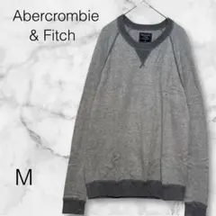 Abercrombie & Fitch アバクロ 長袖カットソー【M】グレー系