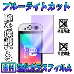 2枚セット　Nintendo switch OLED ブルーライトカットフィルム