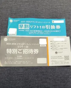 2026年最新】グランデコリフト券の人気アイテム - メルカリ