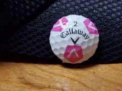 Item thumbnail for item 31aa3f46-987a-4cd8-b799-6498374cbce0