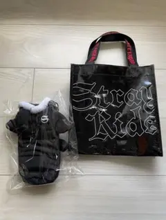 StrayKids スキズ dominATE アプグレ特典 2点セット