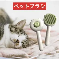 Item thumbnail for item e69fce80-15ba-4c79-9102-8e29b8058a1b