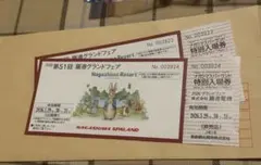 ナガシマスパーランド入場券 2枚セットのサムネイル