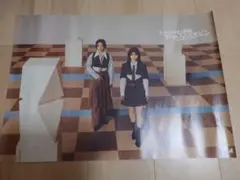 櫻坂46 Lonesome rabbit TYPE-B B3ミニポスターのサムネイル