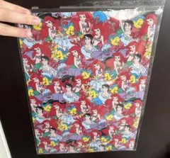 Item thumbnail for item c8273c4c-454e-4872-9f19-f9a2194802d3