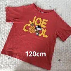 GU PEANUTS スヌーピー Tシャツ