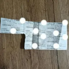 【匿名配送】すかいらーくグループ家族優待券5枚 25％ 1月末迄　値下不可