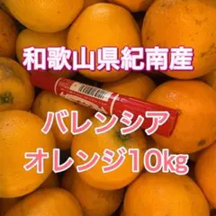 和歌山県紀南産　訳ありバレンシアオレンジ10㎏ サイズ混合のサムネイル