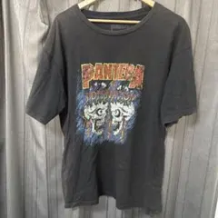 2026年最新】パンテラヴィンテージTシャツの人気アイテム - メルカリ