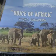 228 VOICE OF AFRICA 中村京子