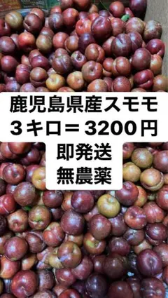 キ，南国指宿産 すもも 3.0㎏ - メルカリ