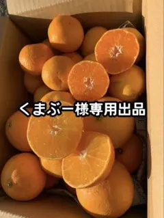 くまぶー様専用出品