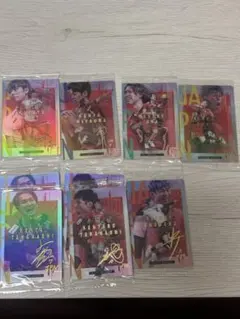 日本代表 サイン入りバレーボールカード 9枚セット