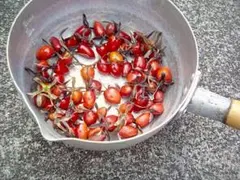 2026年最新】老爺柿種の人気アイテム - メルカリ