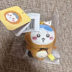 ハチワレ たぬきだもん