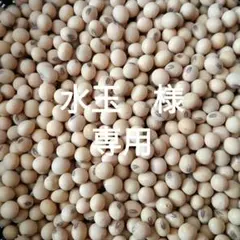 水玉　様　専用