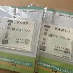 タイトーくじ　F賞　ゴールドシップ、ディープポンド