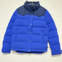 希少　パタゴニア　S 極美品　完売品　ウィメンズ　ダウンジャケット