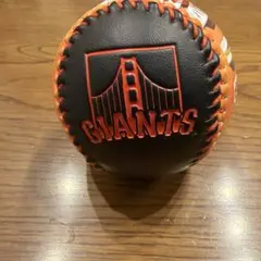 49ERS 記念ボール LEVI'S STADIUM - メルカリ