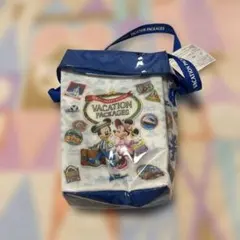 ディズニー　ポップコーンケース　バケーションパッケージ　バケパ　Disneyのサムネイル