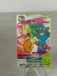 ポケモン カードダス 3Dカード アドバンスジェネレーション ゴンベ アチャモ