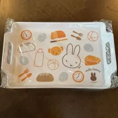 Item thumbnail for item 7225aee3-f699-4186-9a49-b888f95e42f7