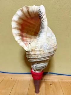 Item thumbnail for item db0927f7-6a39-4839-8114-2357c640fb37