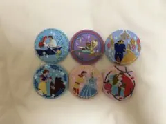 reirei様専用 ディズニー 刺繍缶バッジ ディズニープリンセス 6個セット