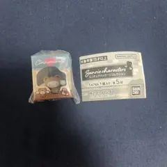 サンリオキャラクターズ ミニチュアパッケージコレクション　シナモン　シナモロール