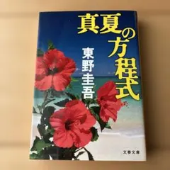 真夏の方程式　東野圭吾
